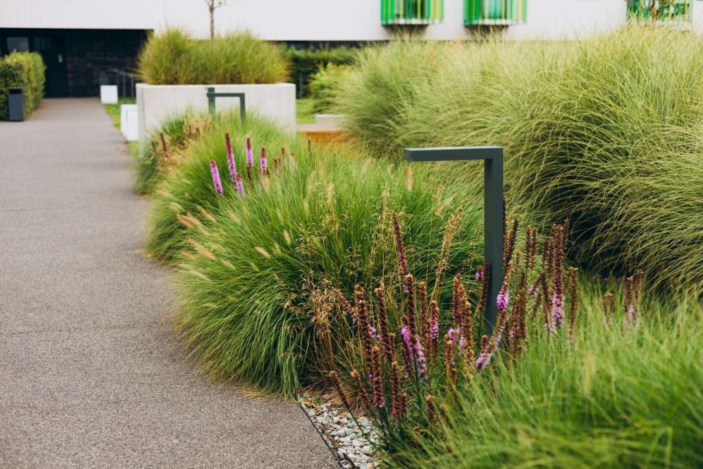 Low maintenance landscaping options